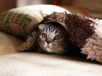 تمیزکاری های روزانه