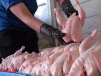 بهترین وزن مرغ