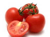 نگهداری گوجه فرنگی