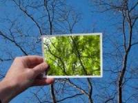 تست خوش بینی