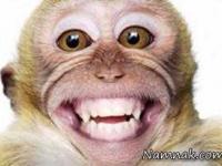 عکس های خنده دار