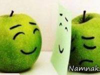 اس ام اس منت کشی