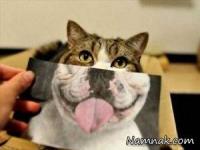 عکسهای بامزه