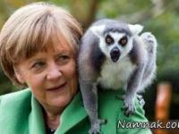 مرکل و همسرش