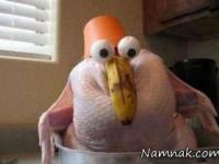 عکس های خنده دار