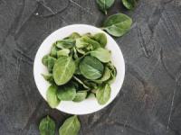 پرورش اسفناج