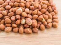 آفلاتوکسین
