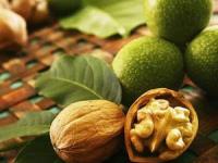 خشك كردن گردوي تازه