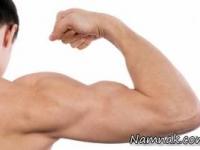 فهمیدن طول عمر 