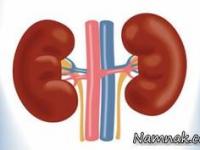 نفروپاتی دیابتی