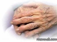 طول عمر بالا