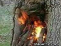 عکس یادگاری