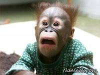 مراسم نامزدی