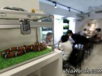 کافی شاپ مارها