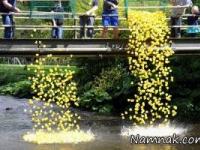 مسابقه عجیب