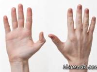 انگشتان دست