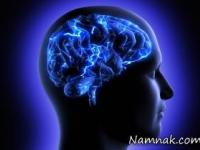 مغز انسان