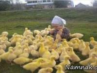 عکس های حیوانات