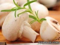 بزرگترین قارچ جهان