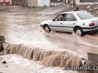 سیل بوشهر
