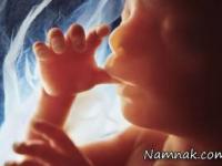 اندازه جنین