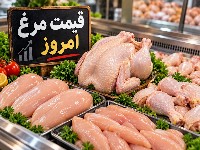 قیمت مرغ