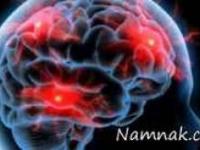 مغز نوجوانان سرکش