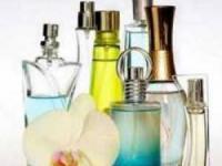 شخصیت شناسی