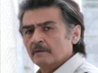 رضا رویگری