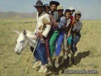 عکسهای خنده دار 