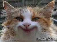 عکس های خنده دار