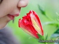 استشمام گل ها