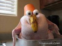 عکس های خنده دار