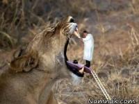 عکس های خنده دار 