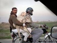 عکس های خنده دار