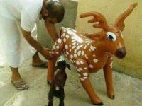 عکس های خنده دار