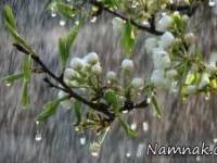 نماز باران