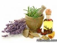 گیاهان موثر در تقویت حافظه