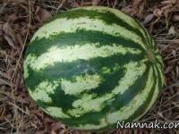 هندوانه