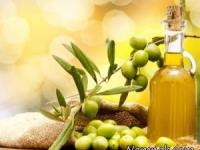 روغن زیتون