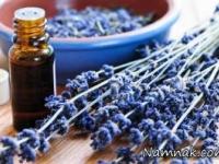 روغن های گیاهی