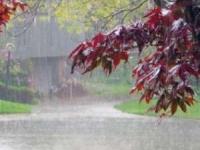 دانستنی های در مورد باران
