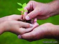 درختی که شیرین برای فرهاد کاشت