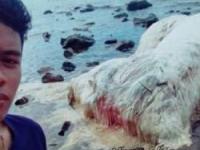 هیولای عجیب