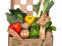 سوزاندن کالری