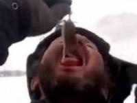 خوردن موش زنده