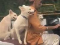 موتور سواری