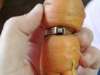 انگشتر گم شده