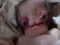 نوزاد ترسناک