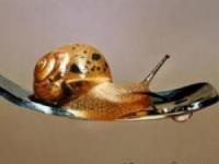 عکس شگفت انگیز